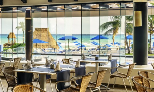 The Reef Playacar